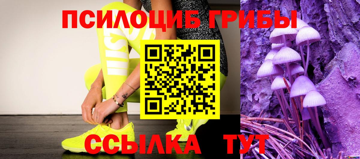 Псилоцибиновые грибы прущие грибы  Галлюциногенные грибы GOLDEN TEACHER  магазин продажи   Вход с VPN  Реутов 