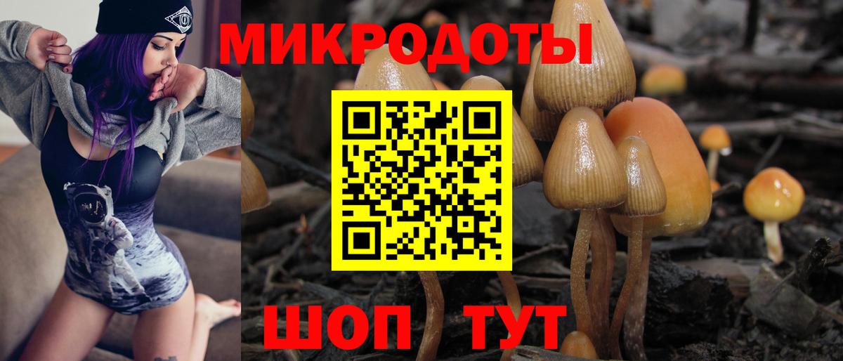 Галлюциногенные грибы прущие грибы Реутов