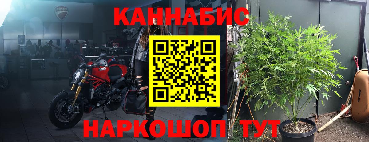 Конопля VHQ  Каннабис марихуана  Шишки марихуана Bruce Banner  Реутов  Вход с VPN 